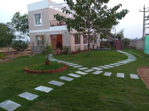 Home amongst the greens... - Gallery - 2
