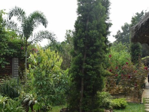 Refreshing stay in midst of nature