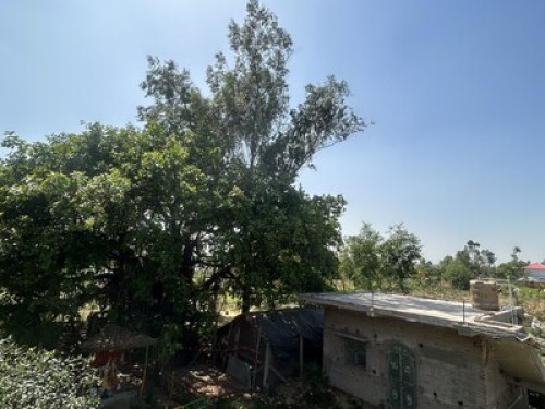Golok Riverside Retreat - Gallery - 31