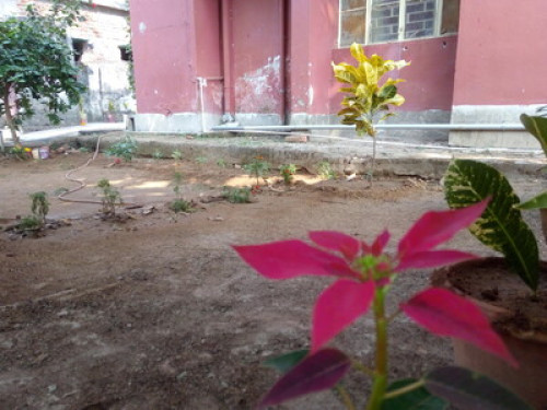 Happy Villa Homestays - Gallery - 5