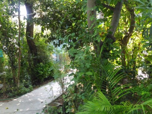 Spacious private room with greenery - Gallery - 11