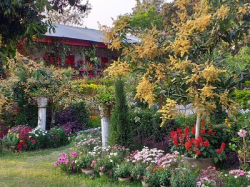 Atmaja The Cottage garden - Gallery - 4