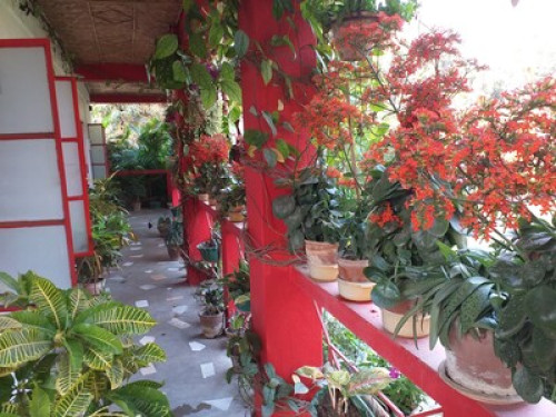 Atmaja The Cottage garden - Gallery - 14