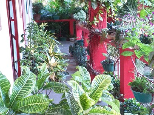 Atmaja The Cottage garden - Gallery - 13