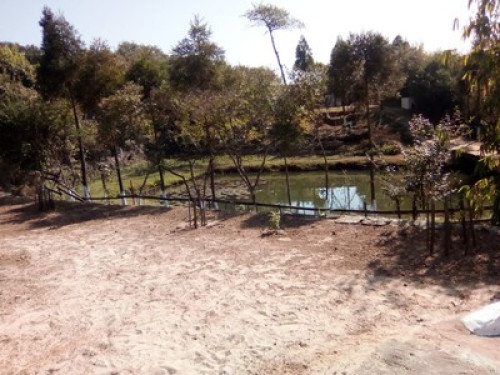 Hiraba Homestay - Gallery - 4