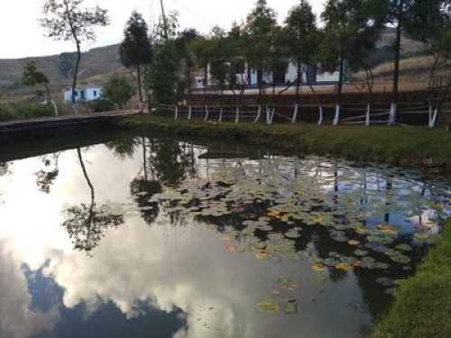 Hiraba Homestay - Gallery - 6