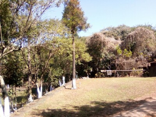 Hiraba Homestay - Gallery - 2