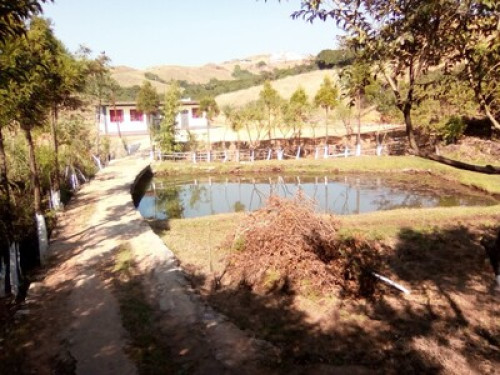 Hiraba Homestay - Gallery - 3