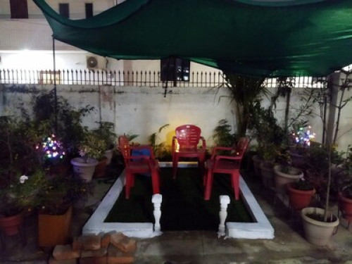 The Paradise