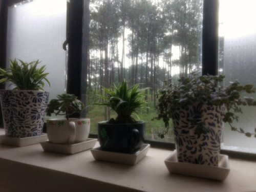 Sha Ri Loum.....a Home in the Hills - Gallery - 3