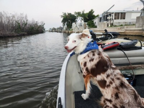 Island living, water access, Kayak. - Gallery - 7