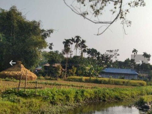Experience natural village lifestyl - Gallery - 5