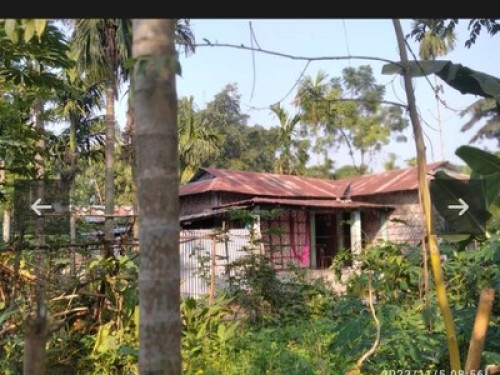 Experience natural village lifestyl - Gallery - 8