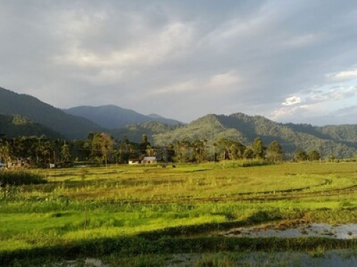 HiMWeS Home Stay,Kalimpong,India - Gallery - 2