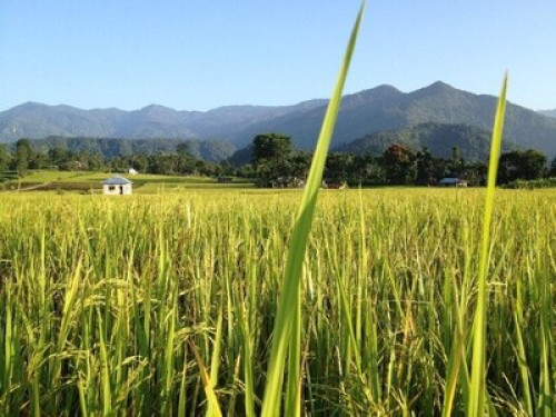 HiMWeS Home Stay,Kalimpong,India - Gallery - 7