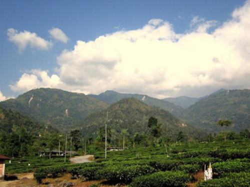 HiMWeS Home Stay,Kalimpong,India - Gallery - 13