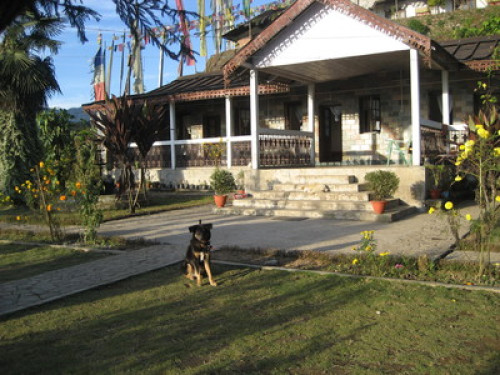Friendly family in Takdah cantt., - Gallery - 13