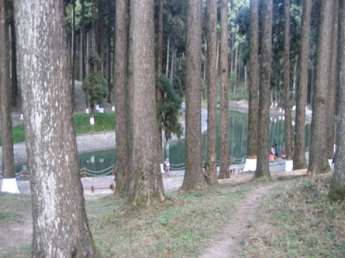 Friendly family in Takdah cantt., - Gallery - 10