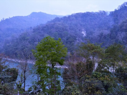Teesta Homestay - Gallery - 10