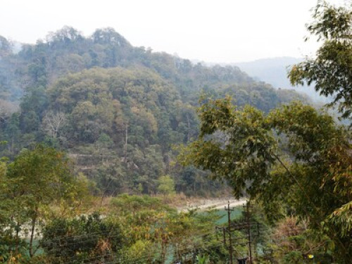 Teesta Homestay - Gallery - 11