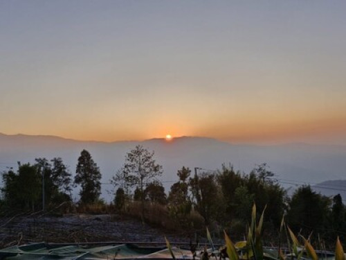 Chintapu Homestay Ilam - Gallery - 16