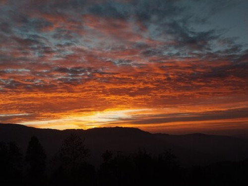Chintapu Homestay Ilam - Gallery - 19