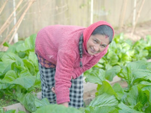 Chintapu Homestay Ilam - Gallery - 11