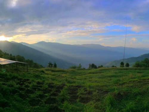 Chintapu Homestay Ilam - Gallery - 20