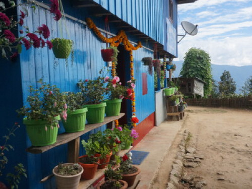 Chintapu Homestay Ilam - Gallery - 5
