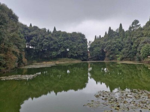 Chintapu Homestay Ilam
