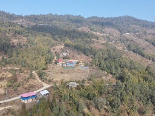 Chintapu Homestay Ilam - Gallery - 10