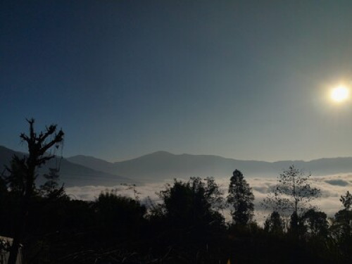 Chintapu Homestay Ilam - Gallery - 15