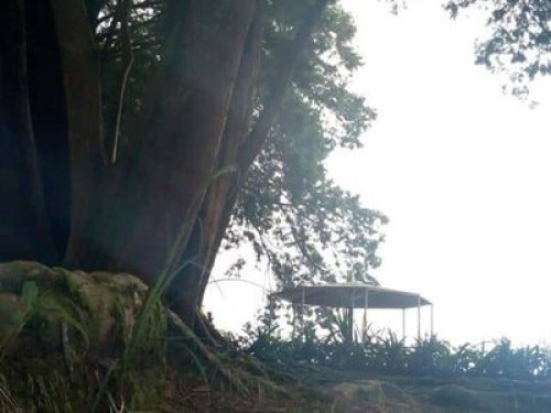 HIMALAYAN HOMESTAY - Gallery - 14