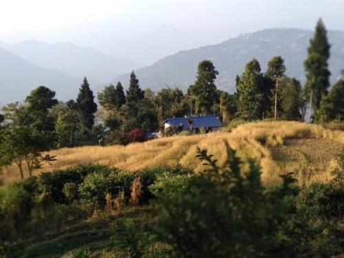 HIMALAYAN HOMESTAY - Gallery - 16