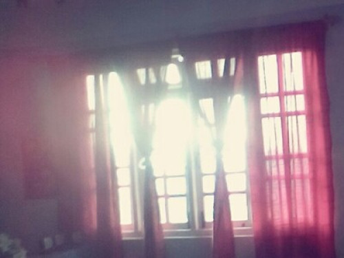 HIMALAYAN HOMESTAY - Gallery - 21