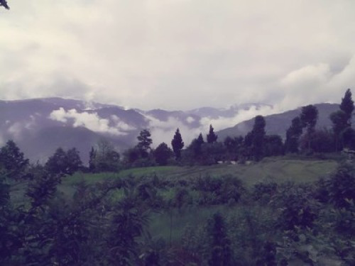 HIMALAYAN HOMESTAY - Gallery - 12