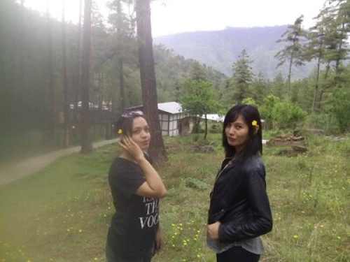 HIMALAYAN HOMESTAY