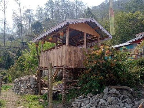 Mairung Gaon Homestay - Gallery - 5