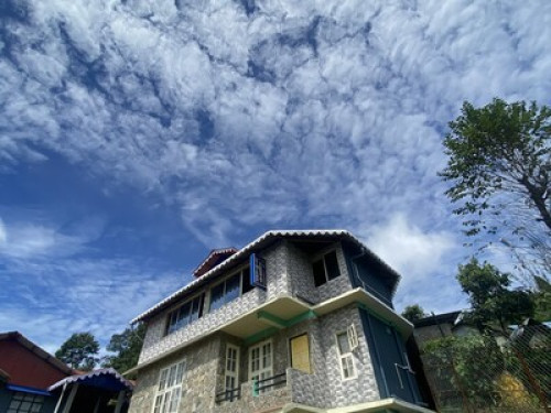 New Organic Homestay in Delo