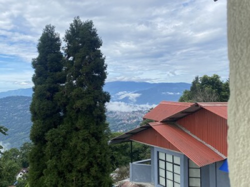 New Organic Homestay in Delo - Gallery - 2