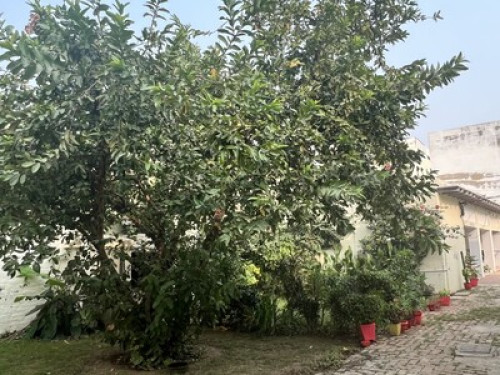 Colonel Dugal's Guest House - Gallery - 7