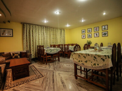 In the Sikkim Himalayas - Gallery - 11