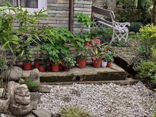 In the Sikkim Himalayas - Gallery - 8