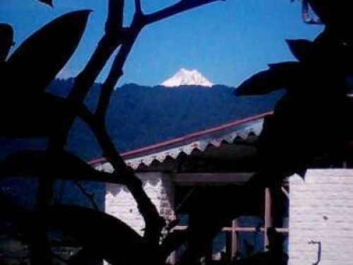 In the Sikkim Himalayas - Gallery - 16