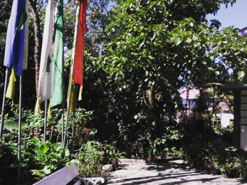 In the Sikkim Himalayas - Gallery - 12