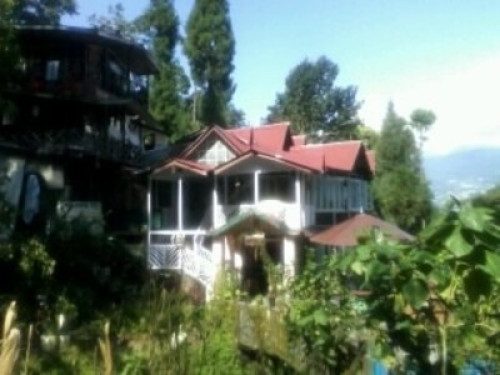 Waterfall Homestay - Gallery - 17