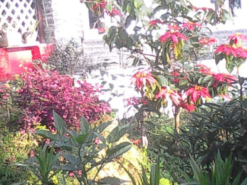 Waterfall Homestay - Gallery - 3