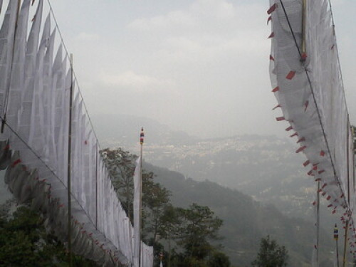 Waterfall Homestay - Gallery - 4