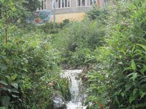 Waterfall Homestay - Gallery - 15