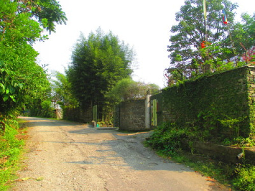 Tashi's Homestay - Gallery - 12